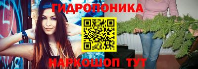 мдпв Пугачёв