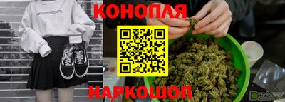 мдпв Пугачёв