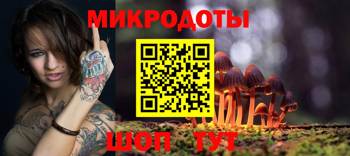 Галлюциногенные грибы Psilocybine cubensis Сатка