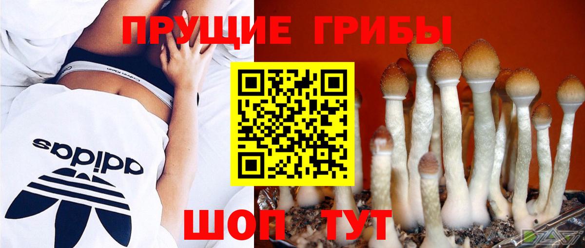 Псилоцибиновые грибы Cubensis  Вход с VPN  Сатка 